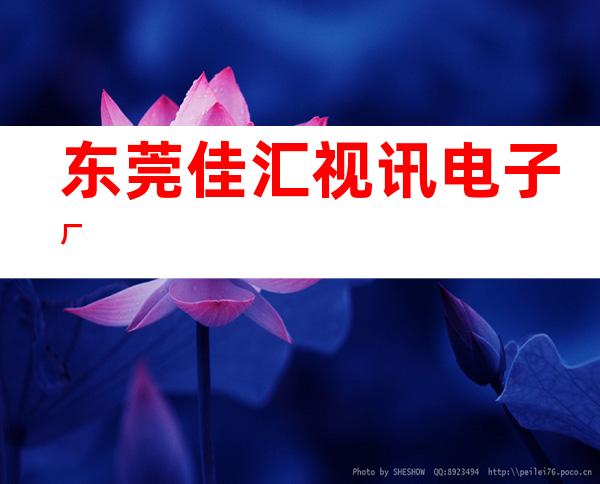 东莞佳汇视讯电子厂